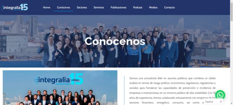 Pagina informativa de consultora