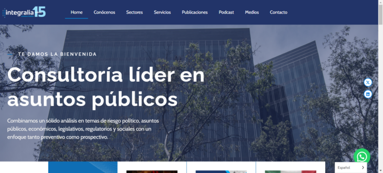 Pagina informativa de consultora